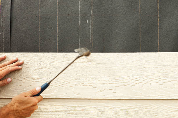 Best Storm Damage Siding Repair  in Cuthbert, GA
